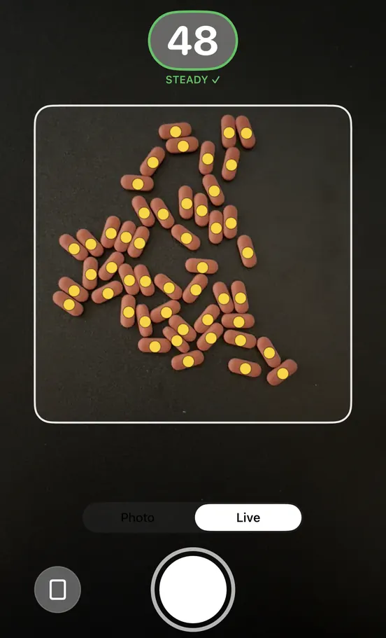LIVE mode: 48 counted and steady inside the counting square